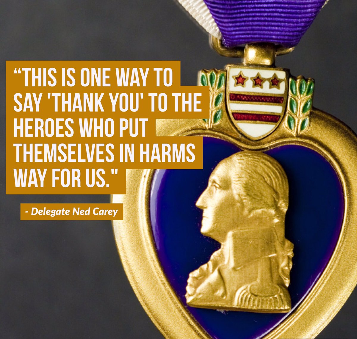 mdhousedems's tweet photo. #MDGA17 passed HB68, this legislation sponsored by Del. Ned Carey provides discounted hunting &amp; fishing licenses for Purple Heart recipients https://t.co/igEyLizh1b