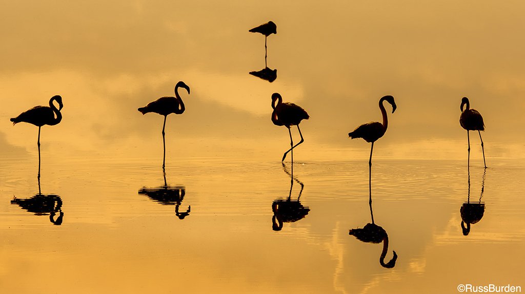 Outdoor Photographer tweet media