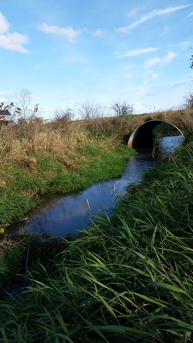 INWatershed's tweet photo. Summer in Kirkpatrick Ditch Watershed! #FunFriday #FieldworkFriday #FridayFeeling #research #water #covercrops #Indiana https://t.co/ehVEKWEG22