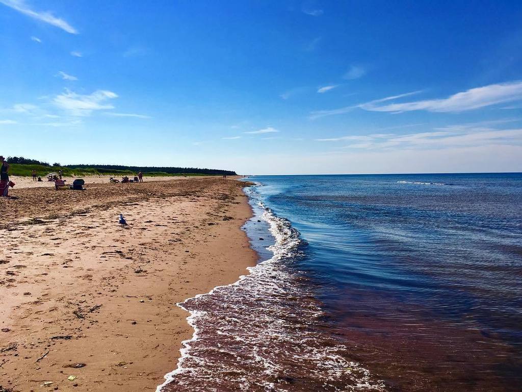 ellenrebeccae's tweet photo. Hot damn, we are lucky humans 🌊🙏✨ https://t.co/G4ADRKIzox https://t.co/pnspAlq7sb