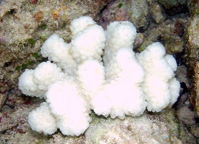 Преглед на изображението в Twitter Преглед на изображението в Twitter