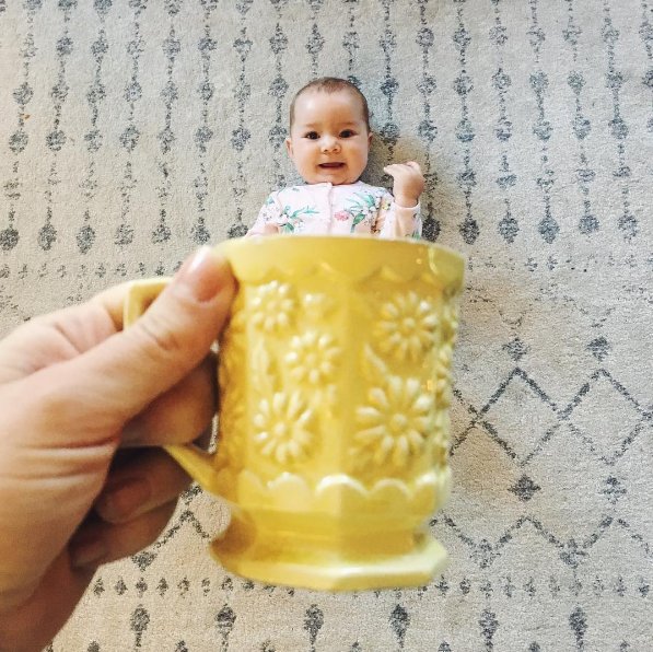 nachotalent's tweet photo. We've made it, folks. Happy Friday. Here's some cuteness for your cup. ���
•
Photo from our VA @emilyafisk 💛
#friyay #virtualandpersonal https://t.co/MD5FB9Jp3I