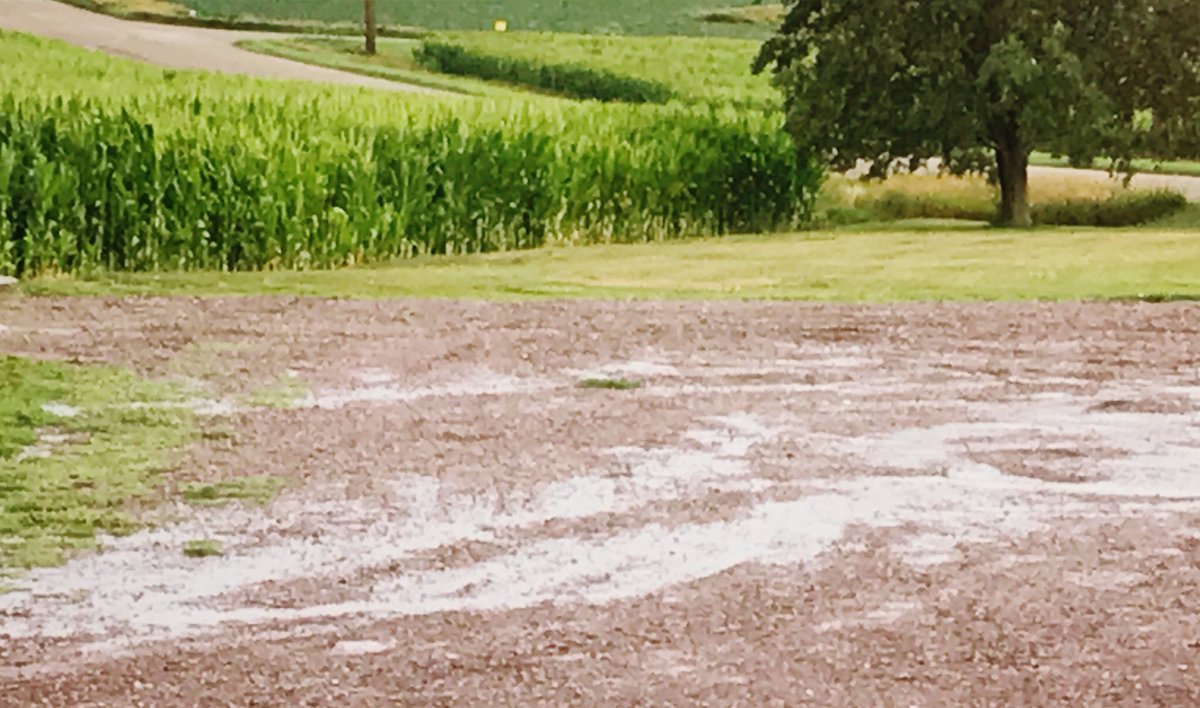 erica_vonk's tweet photo. Isaiah 44:3 - I will pour water on the thirsty land #drycrops #thankfulforrain https://t.co/1P9GrbE9Bs