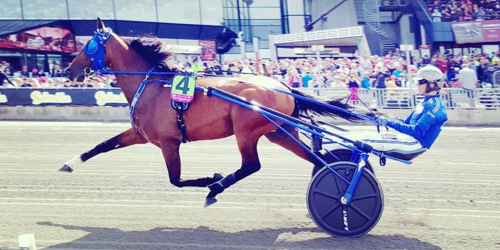 [OFFICIEL] <a href="/Timoko3/">Timoko Shiba</a>, trotteur🐴français🇫🇷le plus riche de l’histoire, défie le sprinter🚴de @TeamDEN_fr 🚀<a href="/RGuillemois/">Romain Guillemois</a>🚀le 8 août à #Langon