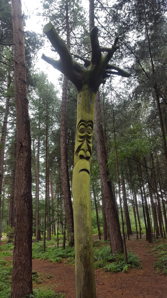 HSharp68's tweet photo. We had so much fun yesterday at Sherwood Pines 😊🌳🌲 @Y3Palm @Norbridgeschool #makingmemories #fun #greatoutdoors https://t.co/EDIq2S3e7P