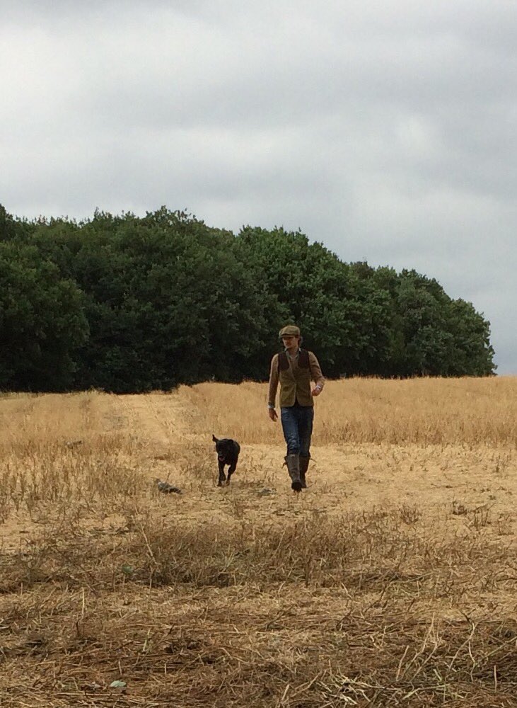 carl1shoot's tweet photo. Here you go @ShootingTimes................@charlie___young with his clothes on! #doggingin https://t.co/L52L1xlSWj