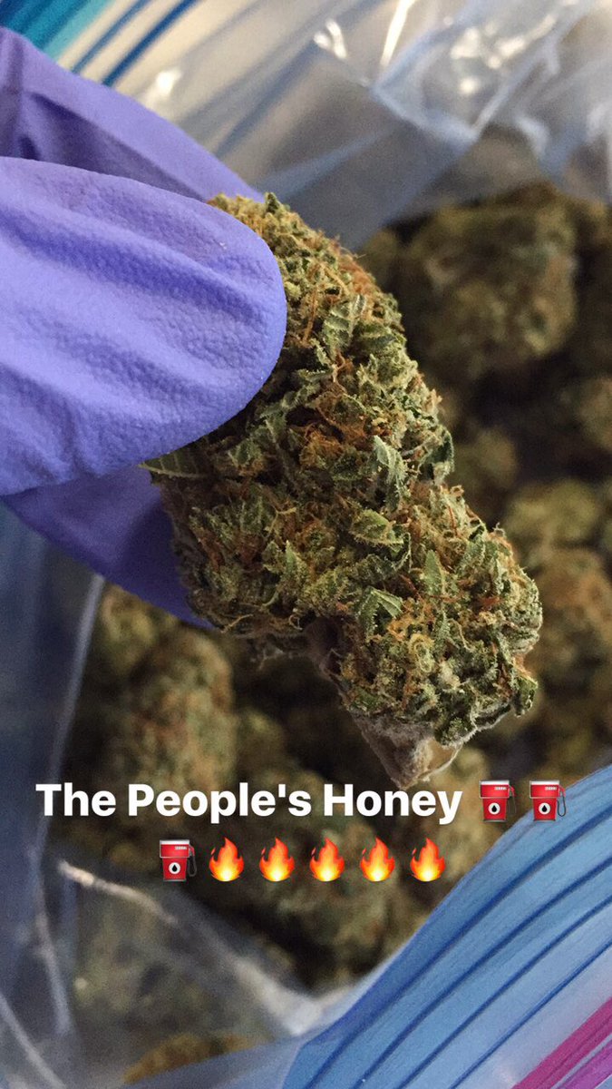 TheLaughingManR's tweet photo. #THB #ThePeoplesHoney #TheHoneyBadgers https://t.co/YtELDJM54q