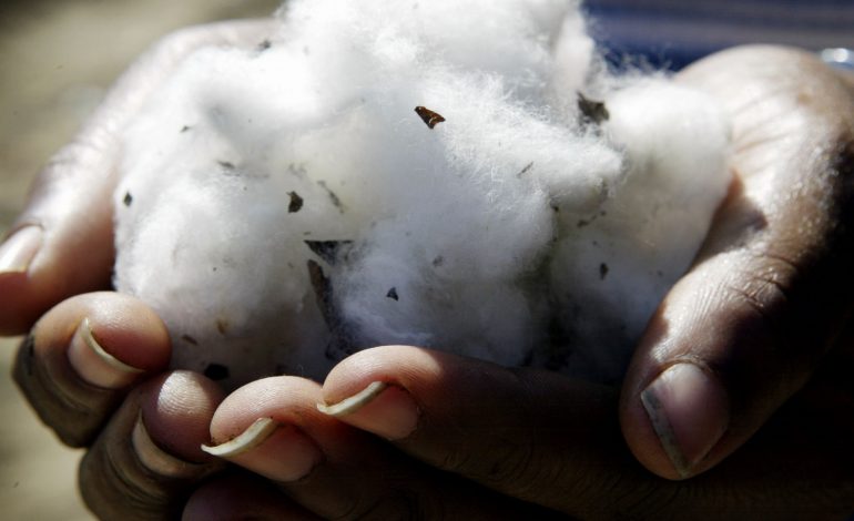 CelestinMonga's tweet photo. Who is fooling whom? #Cocoa and #cotton prices can fall but #chocolate and #textiles prices always go up! Thus, the need for transformation. https://t.co/TlLlwjbC8g