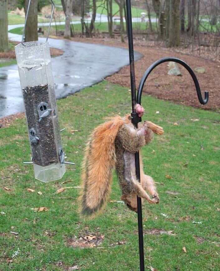 MensHumor's tweet photo. I never wanna hear anyone say they had a bad day again https://t.co/qVLOuKc364