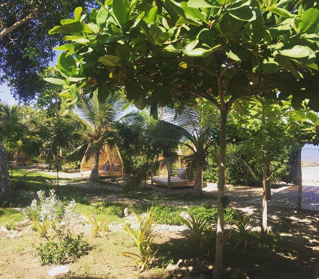 abdesignandint's tweet photo. Always looking for inspiration 🌴💭💚🍃
.
.
.
#abdesignandinteriors #stylewithastory #happiness #cartagenadasindias #colombia #happiness #happy… https://t.co/MSi5uWMdTZ