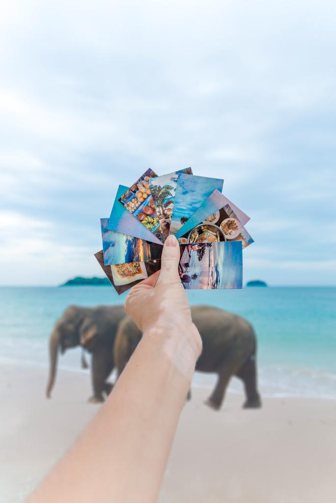HP's tweet image. The HP Sprocket is a tiny printer that brings giant fun on the go! 🌏🐘 hp.com/go/hpsprocket
Photo by @LittleCityCH