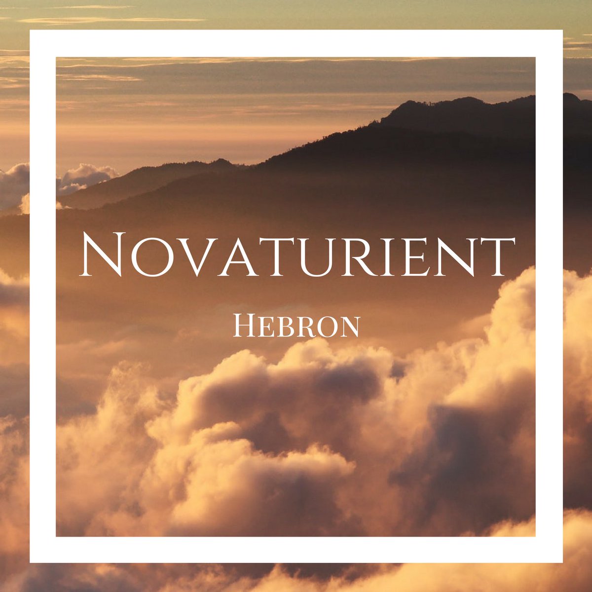 PalmettoCollect's tweet photo. @NovaturientNC 
https://t.co/34PxSJb9rC https://t.co/YdaiQqarD4