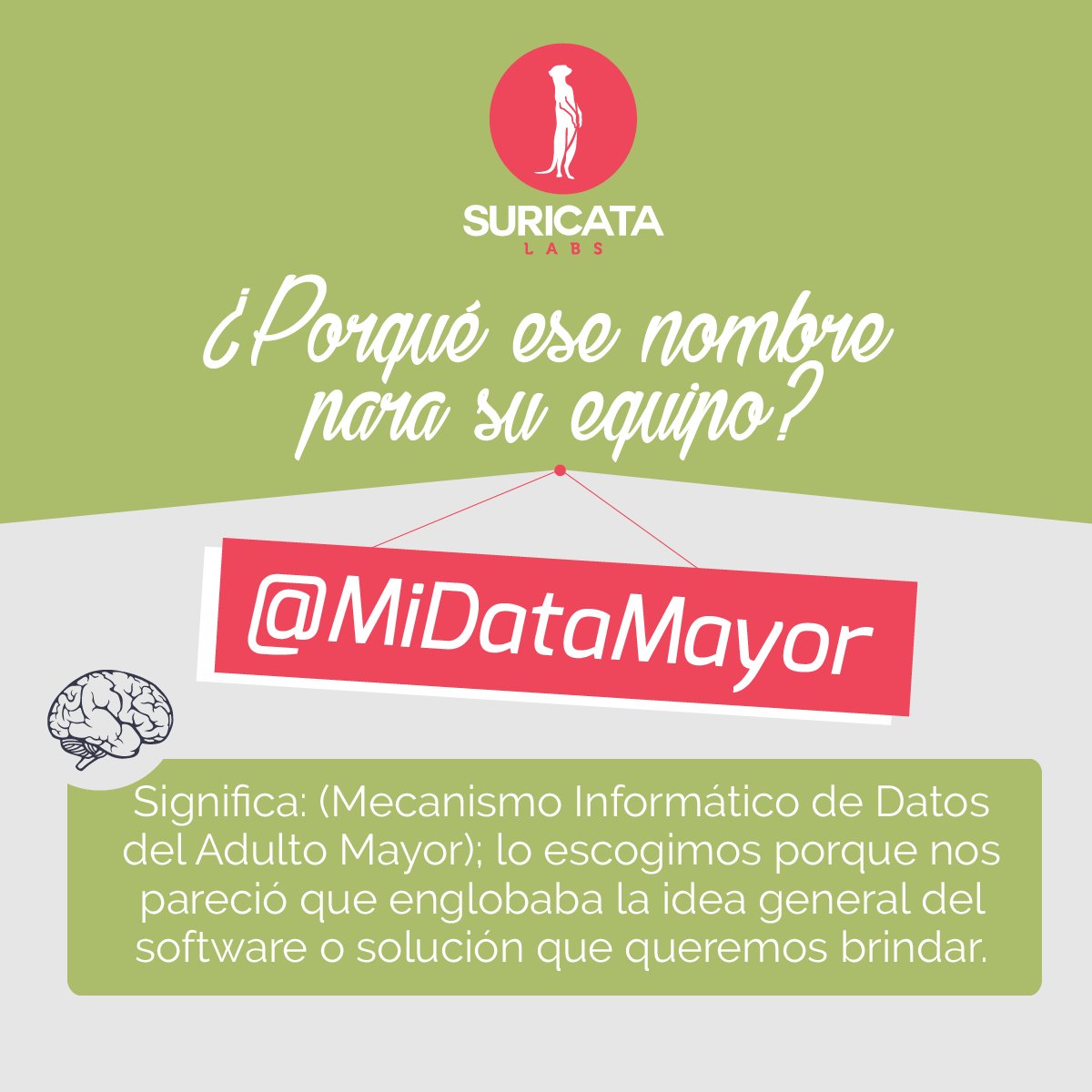 SuricataLab's tweet photo. Una mezcla de palabras descriptivas del negocio es el resultado del nombre de #MiDataMayor. Equipo #AppsCo https://t.co/g5cdtHjvnm