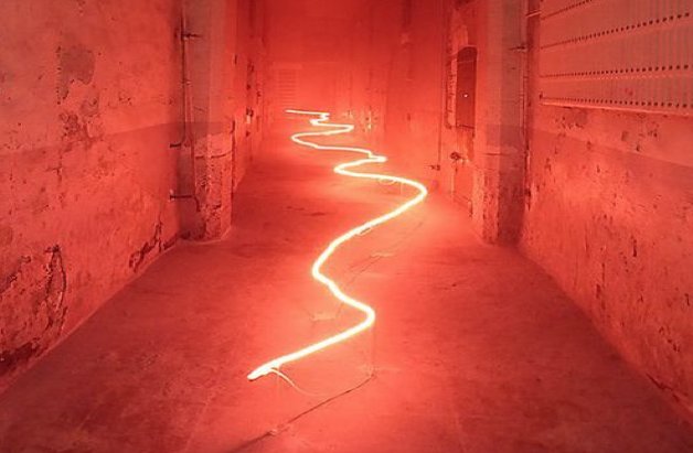 PhuongDang_com's tweet photo. Be the light. https://t.co/RKF0mCsFRq