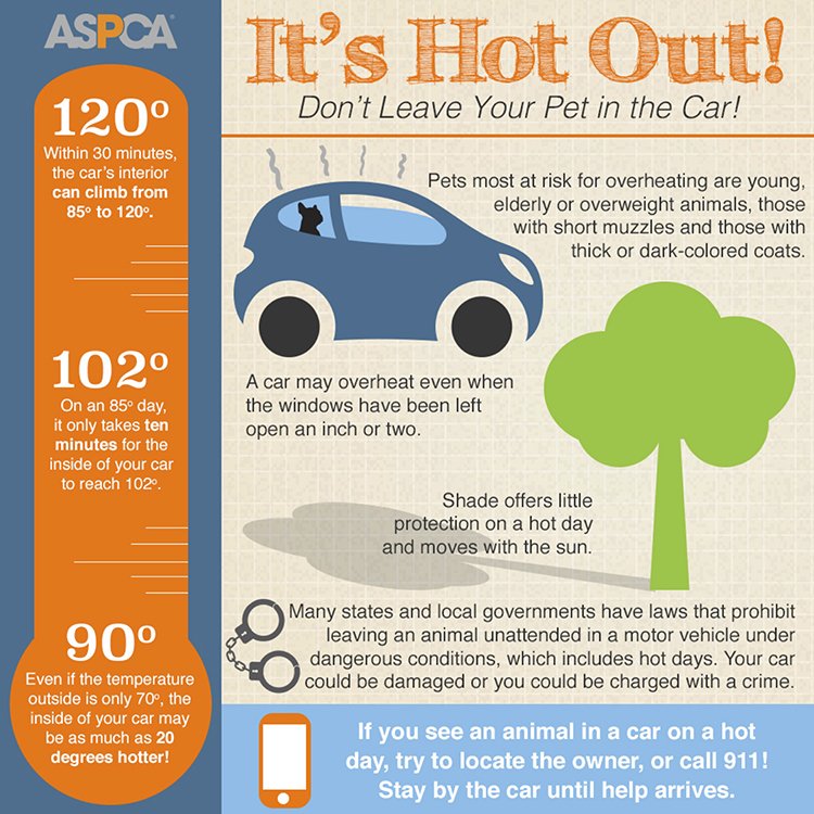 Chabills's tweet photo. #DidYouKnow: A car may overheat even when the windows have been left open an inch or two. https://t.co/lTg4INwwb1
