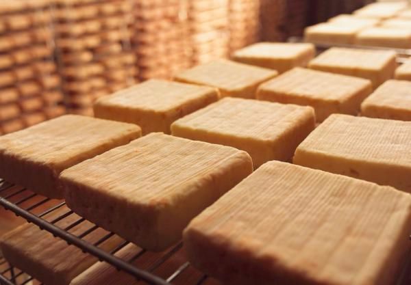 PandemosAgora's tweet photo. Les #fromages à croûte lavée sont faits à partir du lait de vache et ne subissent ni chauffage ni pressage. https://t.co/ehyi6j40I7