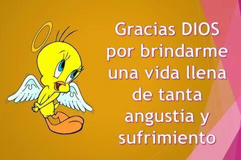 gonzbert21's tweet photo. #FelizViernes https://t.co/uXvWtaeO0R