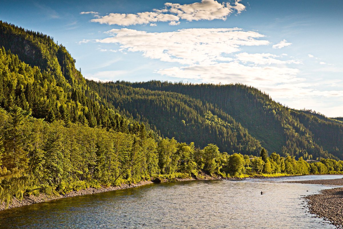 AprilVokey's tweet photo. 💙#Norway @norwegianflyfishersclub 📷 Matt Harris #flyfishing #chaseit https://t.co/RrxGJEbcbk
