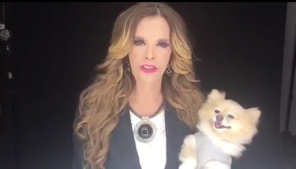 LuciaMendezOf's tweet image. El mundo sería un lugar mejor si las personas tuviésemos el corazón de los perros #DíaMundialDelPerro ❤️🐶