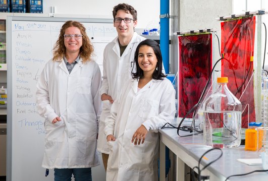 ucalgaryscience's tweet photo. UCalgary researchers showcase clean energy solutions at Alumni Weekend Sept. 23 https://t.co/dthqfvpLjp https://t.co/Ik4i2161RA