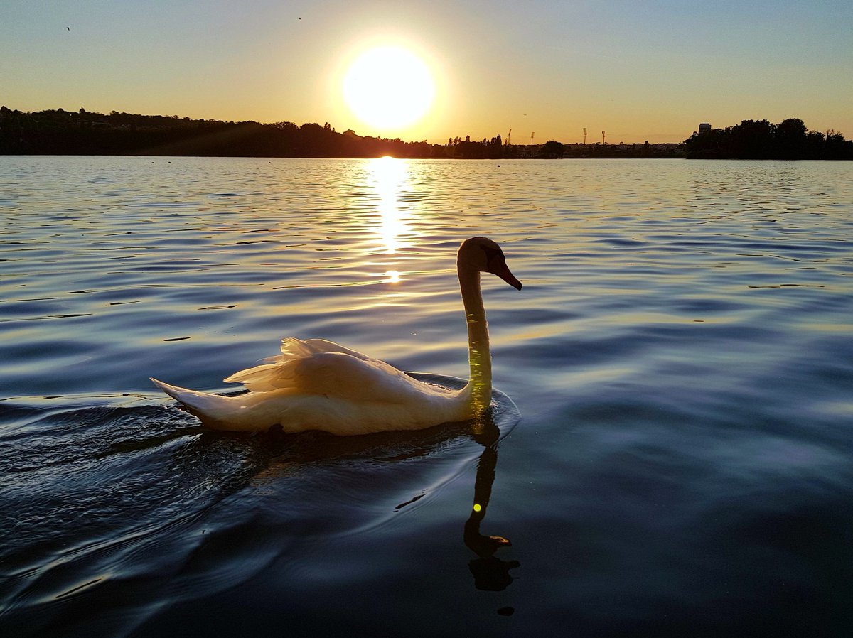 Coucher de soleil sur le lac de Viry-Châtillon... 🌞 #Essonne #ViryChâtillon