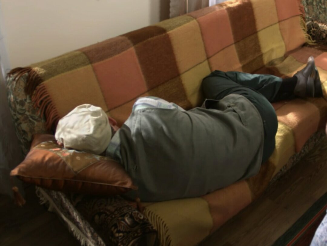 Картина сон диогена из сватов