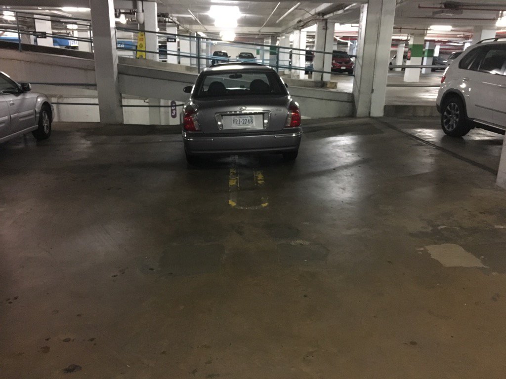 daniel halper tweet media