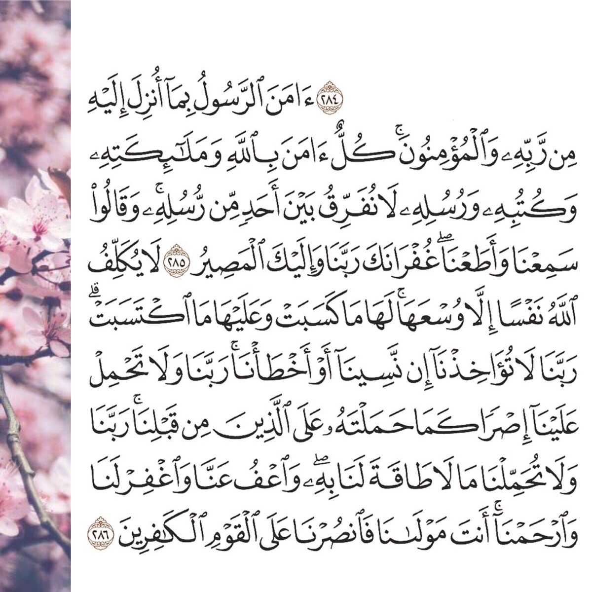 noorr1_'s tweet photo. #آية_الكرسي - #سيد_الاستغفار - آخر آيتين من سورة البقرة https://t.co/RetbvD6Xlf