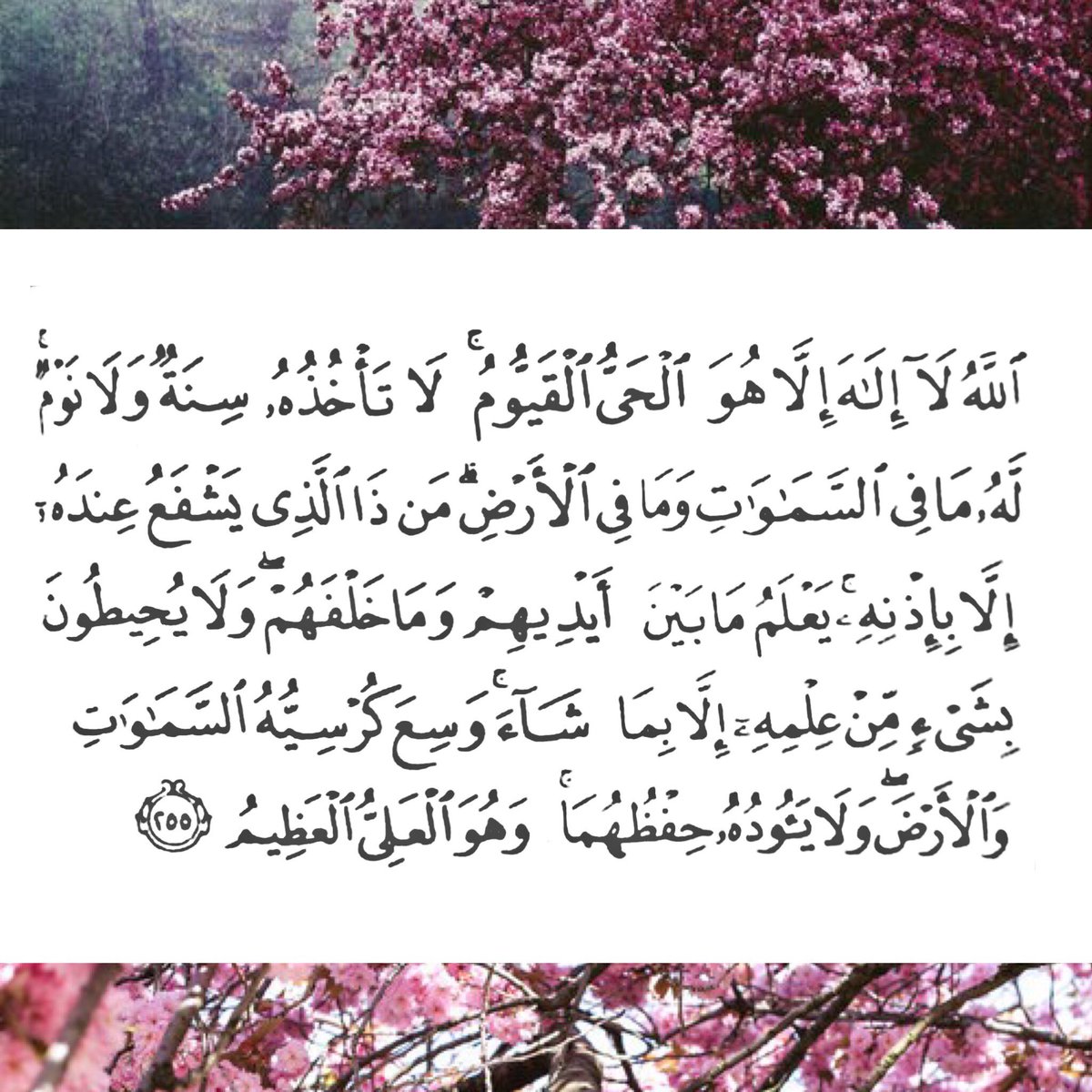 noorr1_'s tweet photo. #آية_الكرسي - #سيد_الاستغفار - آخر آيتين من سورة البقرة https://t.co/RetbvD6Xlf