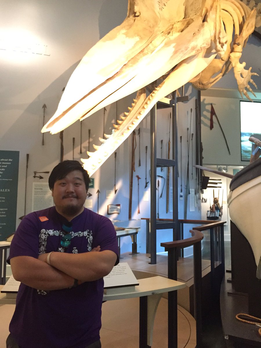 NubbinsInc's tweet photo. It's right behind me isn't it #whaleforscale #ACK https://t.co/psqKoBaN6h