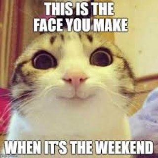 EEdjcrew's tweet photo. Happy friday!
#electronicenlightenment #EEDJCrew #LosAngeles #edm #bassmusic #hollywood #nightlife #rave #dubstep #cat #kitten #meme https://t.co/zA1PM2Fbqv