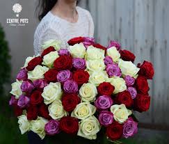 #مسابقة_الحرف_الرائدة3
المتميزون #نجوم_الحرف يتألقون بأعذب الكلمات تستحقون #وسام_الإبداع هنيئاللأبجدية بكم
<a href="/SamRiko1/">SamRiko</a> 
<a href="/gentelyy/">نقاء حرف✒</a> 
#سادة_الحرف