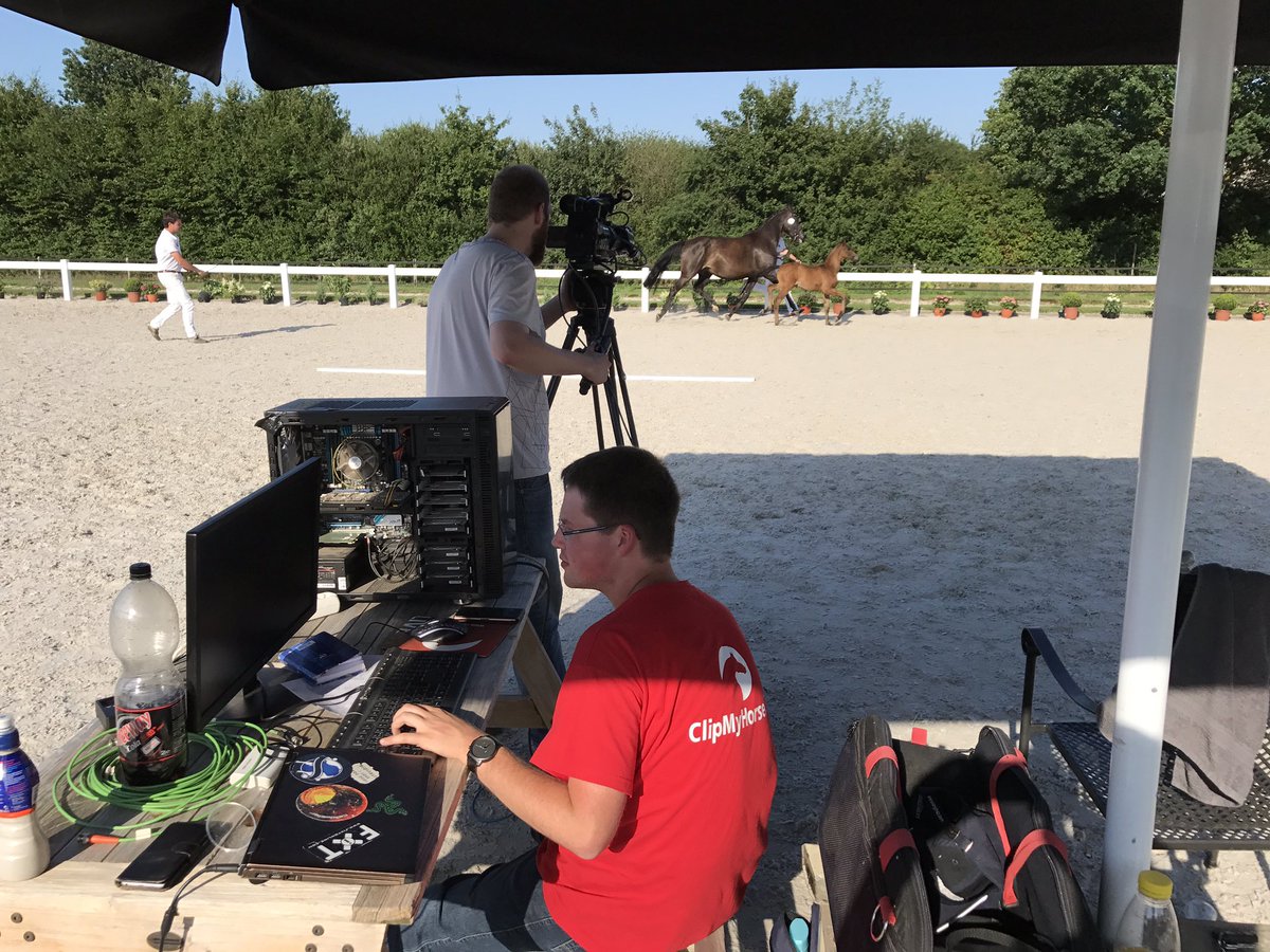 SELLVeulenveilingBra tweet media