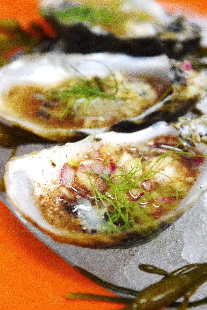 WildSeaLasOlas's tweet photo. We open at 5! #FridayFeeling #Oysters #Steaks #Hummus #Octopus #TGIF #InsideTheRiversideHotel #DeliciousAndFresh #GreatPeopleWatching #yum https://t.co/1luZKfwGbt