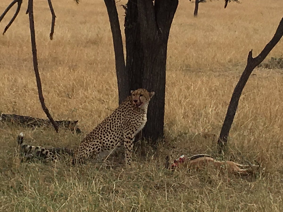 Aman Patel tweet media