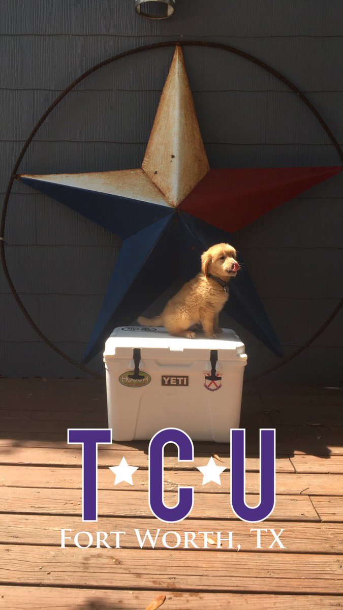 OldRowTCU's tweet photo. #YetiPups https://t.co/qw4RciDApu