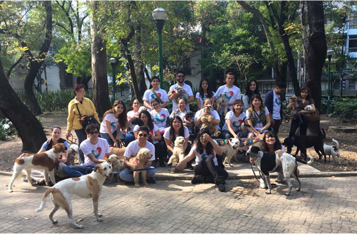 Digilant_CO's tweet photo. ¡Hoy celebramos el #DíaMundialDelPerro! En DIGILANT somos pet-friendly y hemos fomentado la adopción de perros con Digilant Cares 🐶 https://t.co/sYJVBKwyHJ
