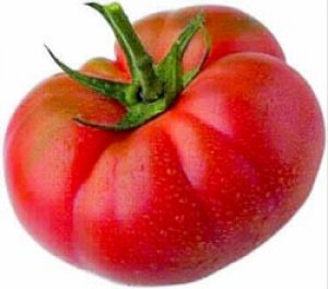 ElFikuWTF's tweet photo. Tomate...
To Ma Te
🔄
Te Ma To 
...
EL TOMATE TE MATA!!! D:
RT SI ESTAS IMPRESIONADO POR ESTE ASOMBROSO DESCUBRIMIENTO 😱😱😱 https://t.co/q7GyxeakRR