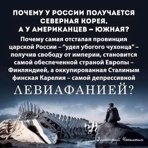 В Международный суд ООН переданы тысячи страниц доказательств относительно финансирования Россией терроризма, - Грицак - Цензор.НЕТ 5206