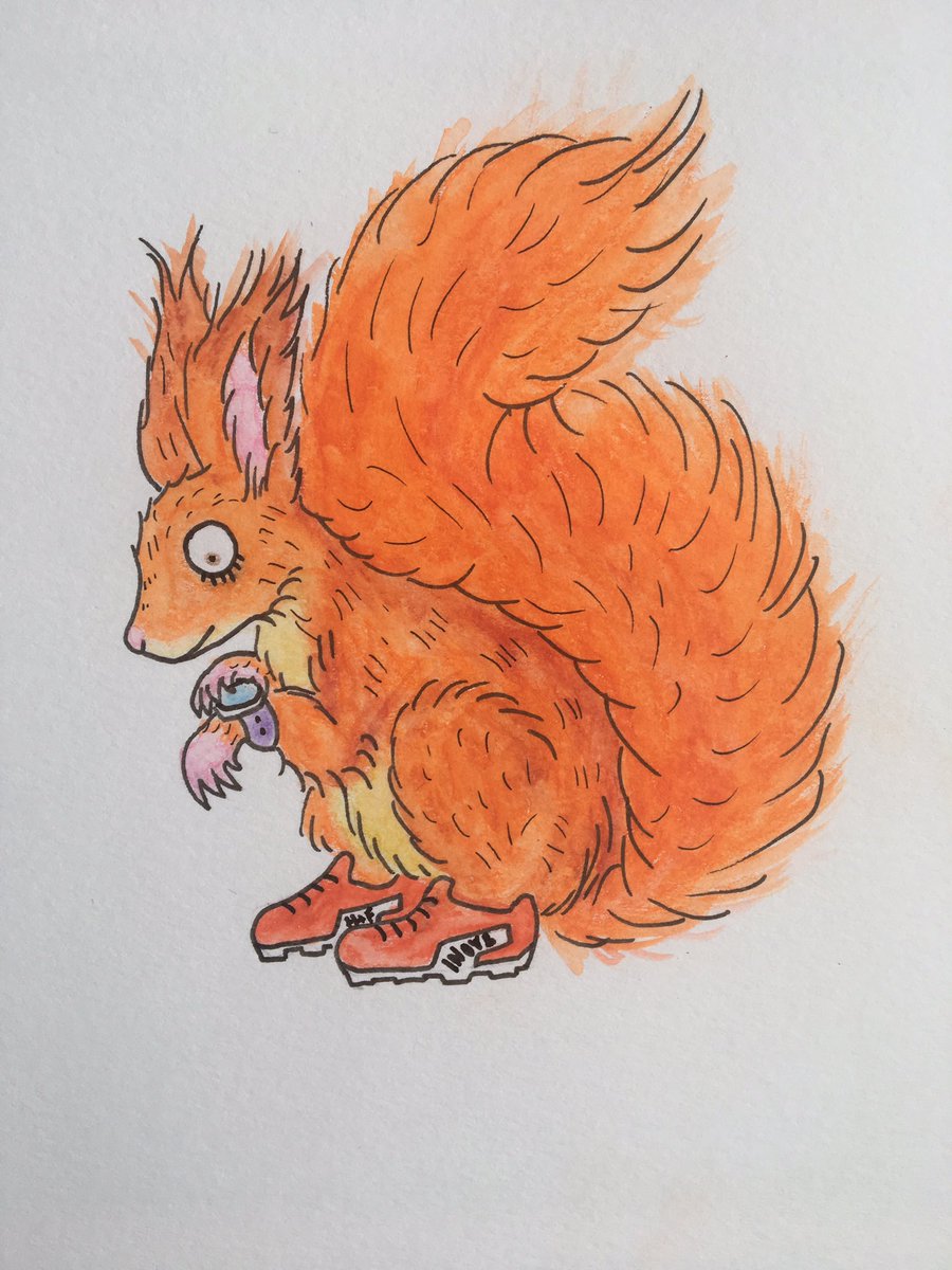 Captions please! <a href="/inov_8/">INOV8</a> @trailrunningmag #trailrunning #running #trail #ultrarunning #fellrunning #mountainrunning #redsquirrel #squirrel