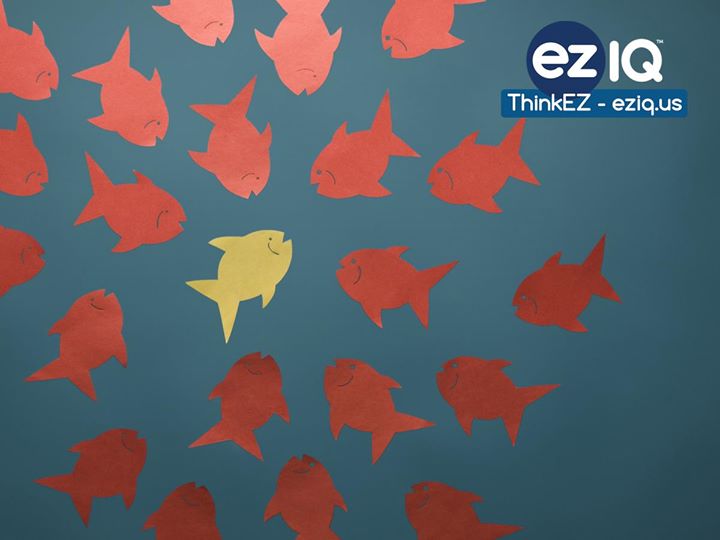 ezIQ_us's tweet photo. What is Your Unique Benefit?  Your unique benefit should highlight the one (or two) main things your product or service actually delivers (b https://t.co/xVfW1ANp22