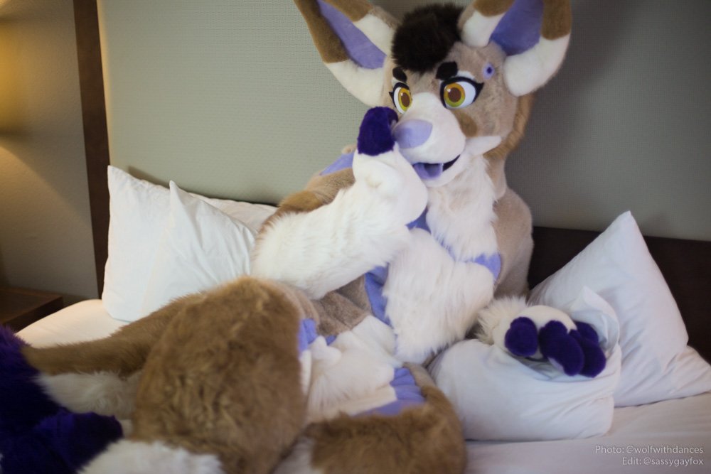 SassyGayFox's tweet photo. @YonoaF @wolfwithdances It's finally time, my first #FursuitFriday! I think I look fabulous in these pics!

💜 @wolfwithdances for 📸 &amp; @thefuzzfactory for making me! https://t.co/VxVfc43TO5