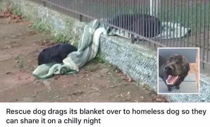 Edliing's tweet image. Okay let's cry