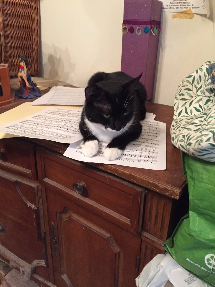 gaylestorm's tweet photo. Possibly a tactical error to try to take a picture of music with Maki around. Hopefully I'll get it back before showtime tonight. #shrewpack https://t.co/rYf4Fk1bia