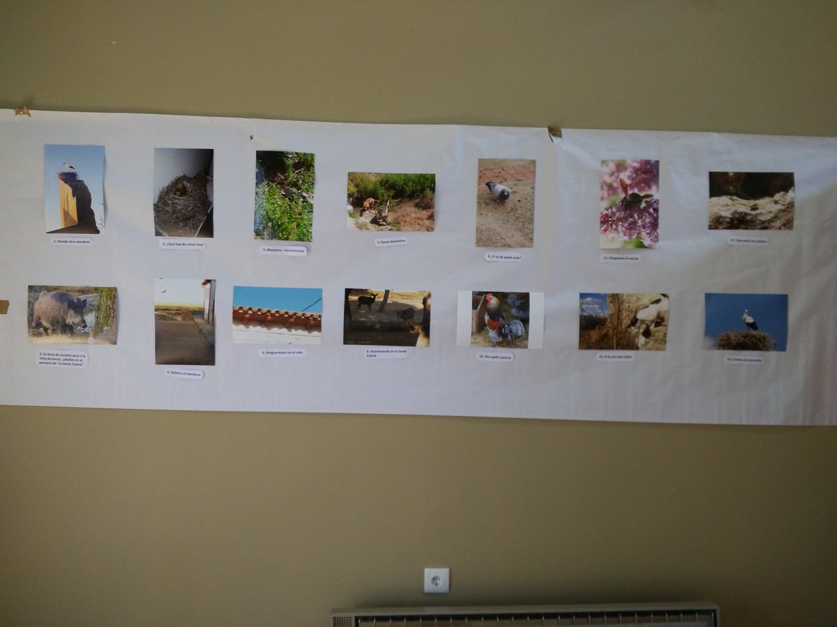 AJCastromonte's tweet photo. Y está abierta la exposición de #objetivotorozos en las escuelas https://t.co/yQyDKxcuOF