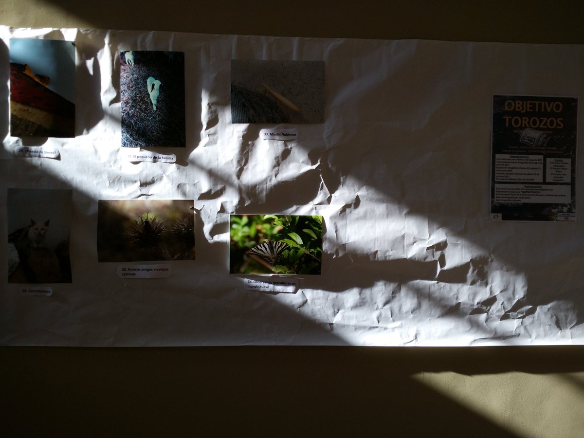 Y está abierta la exposición de #objetivotorozos en las escuelas