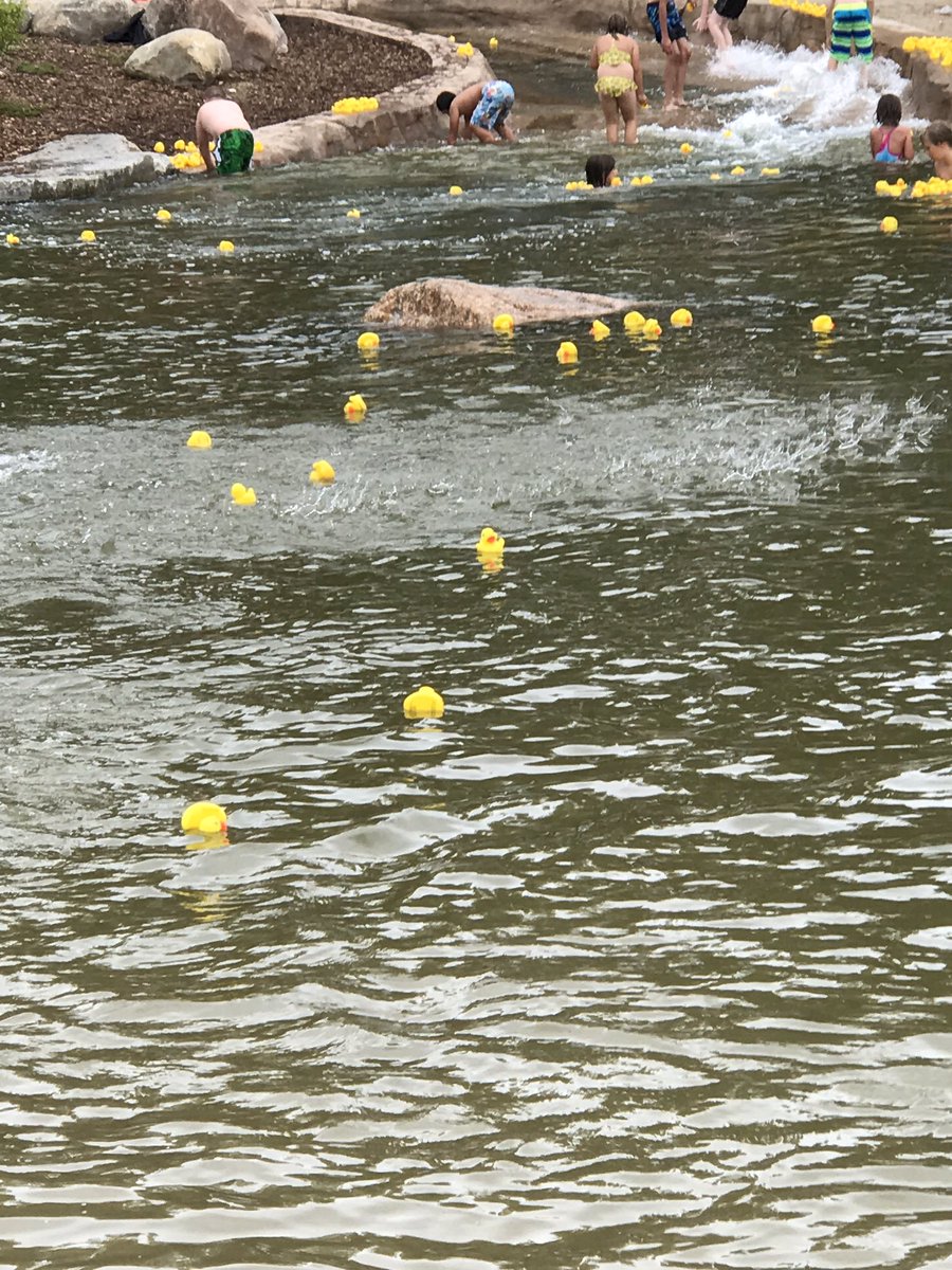 kellykloss's tweet photo. Who let the ducks out- quack quack! Official opening of Discovery Canyon. Canada 150 project. #reddeer https://t.co/soZIa7DAUp