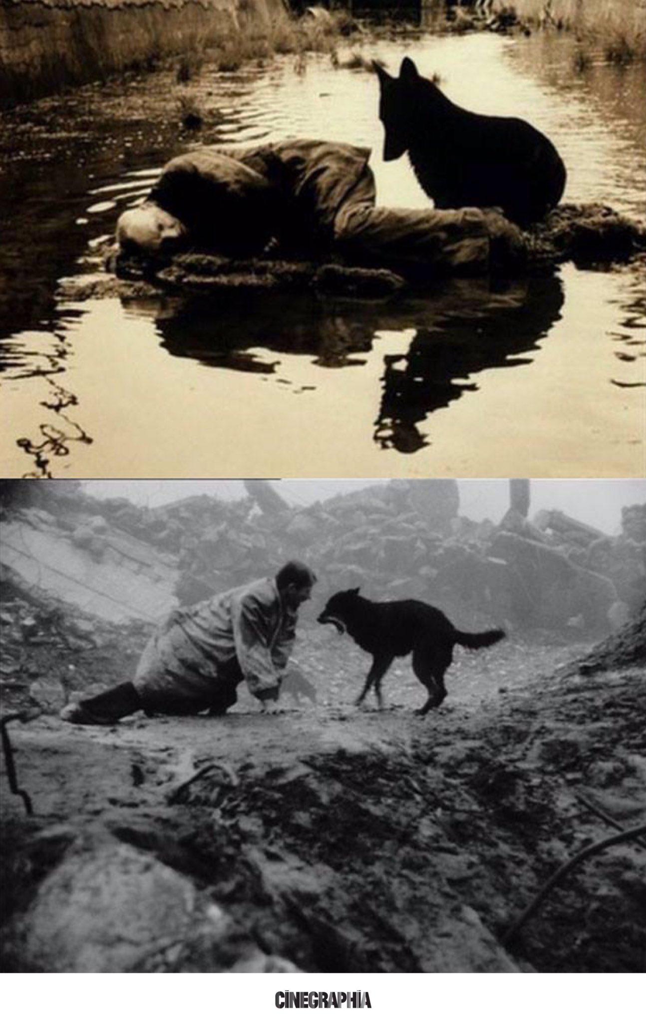  ft. Happy Birthday, Béla Tarr! // ¡Feliz cumpleaños, 