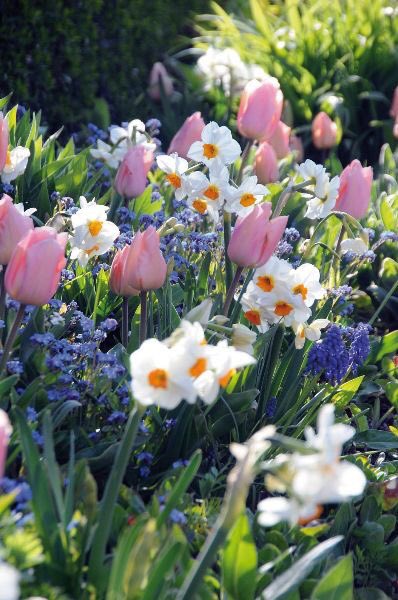 <a href="/zerok_z/">Asi ♡</a> <a href="/atatenea/">Maria G.</a> @Xfiles_Man <a href="/WalterHomeroPe4/">Walter Homero Perez</a> <a href="/11Esperena/">Esperanza Jimenez gonzalez</a> <a href="/LatofaOb/">👑❤Latifa❤👑</a> <a href="/LO2BSH/">LO2BSH</a> @VillaCelestine <a href="/DebbieZimmer54/">Debbie</a> <a href="/IsmailShihan/">Ismail Shihan</a> <a href="/LOYALFAN1/">DONNA CARRIERE</a> <a href="/monicasloves/">Monica Cates</a> <a href="/MartaAvendao/">Marta Avendaño 🍃🌸</a> <a href="/SimplesmenteSyl/">💄💋🍓SYL🍒👠🍷</a> <a href="/Lee888123/">Lee</a> <a href="/carvalheucilene/">eucilenecarvalho</a> @Gla2410 @CristinPereyra <a href="/SuzanneLepage1/">Suzanne Lepage</a> <a href="/peac4love/">Ceni</a> <a href="/huskorkut/">huskorkut</a> <a href="/Estrella51Ahora/">♡☆My Star☆♡</a> <a href="/lilitaprofesion/">liliana garcia</a> <a href="/julzsg59/">Julia</a> <a href="/IzabelleCova/">🌺 Iza 💦</a> <a href="/eoff_sylvia/">Sylvia</a> <a href="/IsabelPerez1232/">💦Isabel Perez 💦</a> <a href="/castellanosce/">César Hernando Castellanos Orozco</a> <a href="/MarionSpekker/">Marion Spekker</a> <a href="/LupitaCampos13/">Lupita Campos</a> <a href="/nina_puerto/">NiNA 3000 🌹🌹🌹</a> @Natali122550 <a href="/LaniJDav/">Lani</a> <a href="/MariaBulacio/">Andrea  🇦🇷</a> <a href="/angelicagallegs/">🇧🇷 ♫J.Angelica G. Gallegos♫🇧🇷</a> <a href="/amiha_mu/">愛美羽 ⚜️Amiha⚜️</a> <a href="/trcas/">Tere</a> <a href="/TuTulsa/">tulsa</a> <a href="/kawalpeet/">kawal preet</a> @puscatelle <a href="/cfacid/">Cfacid 🌴🐠</a> @aliciagarciaga6 <a href="/Sylv33/">Sylvie-T 🪷🌏🧳🎶🌹</a> <a href="/aldry1061/">Adriana</a> <a href="/GreyAki/">Lettycia</a> <a href="/holly_shehan/">Holly Shehan</a> @blouin5_marie <a href="/exprezoe1/">REALLY... It's ME...</a> Good afternoom all