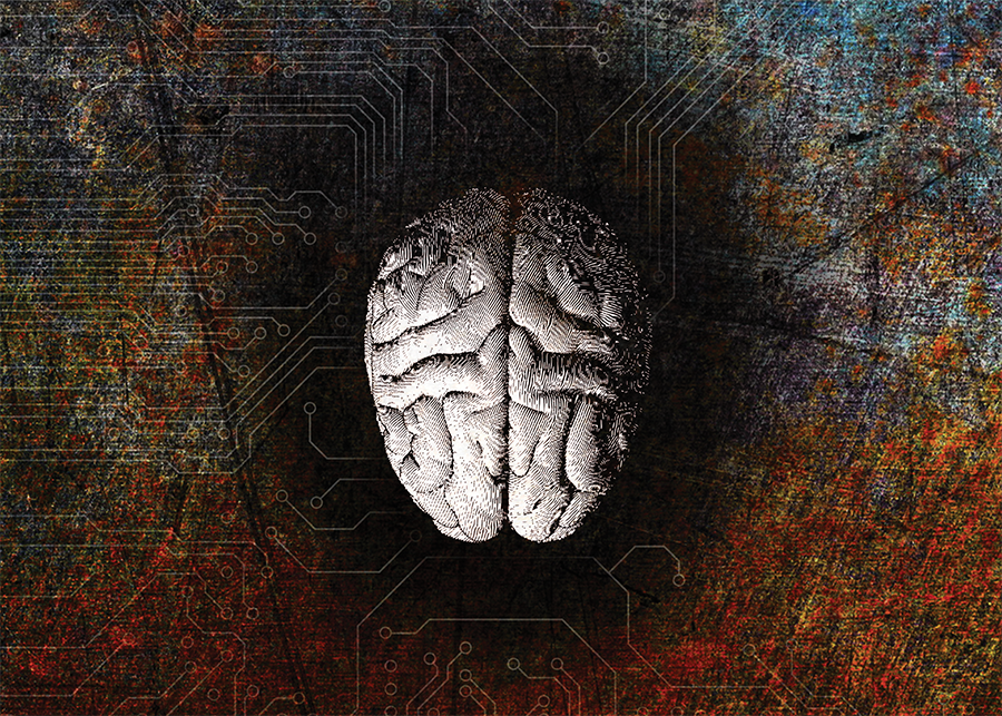 UFMedicine's tweet photo. Understanding the aging brain: @UF researchers look to slow or avert age-related #cognitivedecline. https://t.co/b1VynDkwr6 https://t.co/ymQdqcCVQz